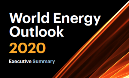 [IEA] 2020 세계 에너지 전망 (World Energy Outlook 2020)